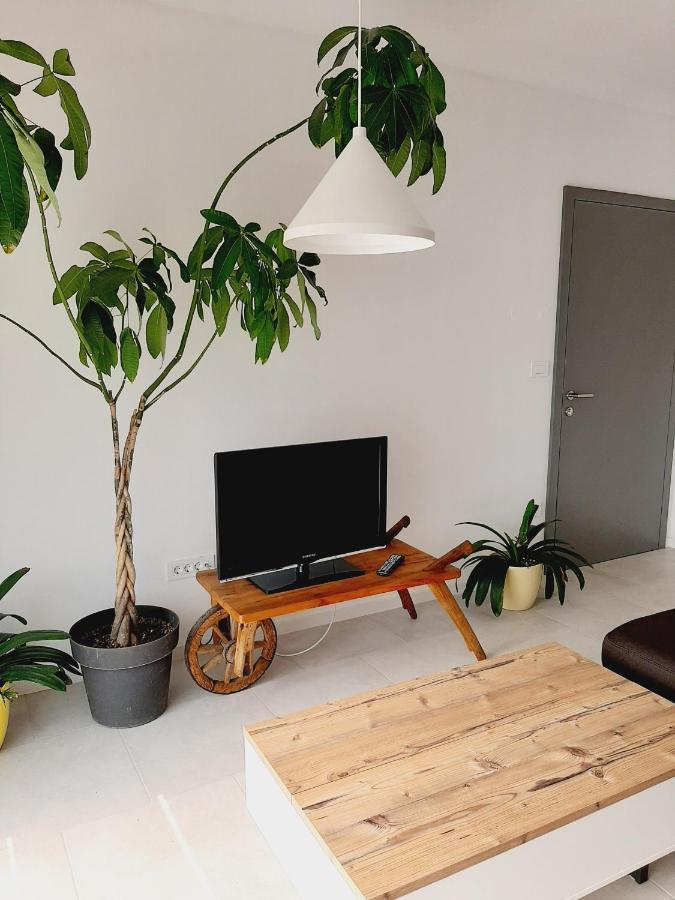 Green Bee Apartment Лешче Экстерьер фото